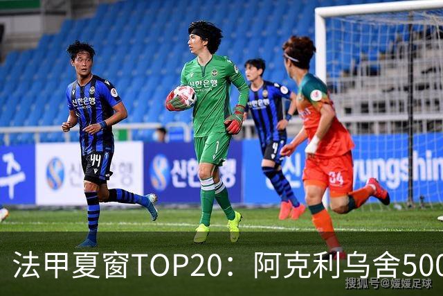 法甲夏窗TOP20：阿克利乌舍5000万欧成标王，费兰4850万欧第二